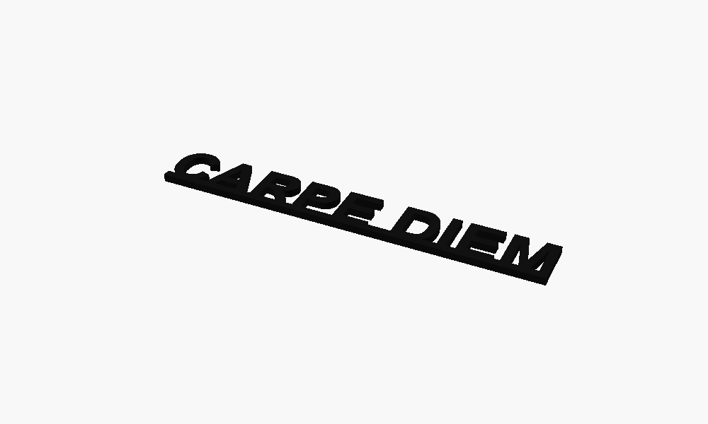 Carpe Diem 3D Printed Text Door Topper Home Decoration