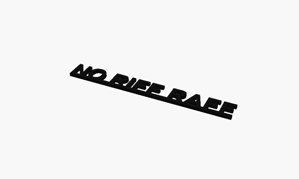 No Riff Raff 3D Printed Text Door Topper Home Decoration